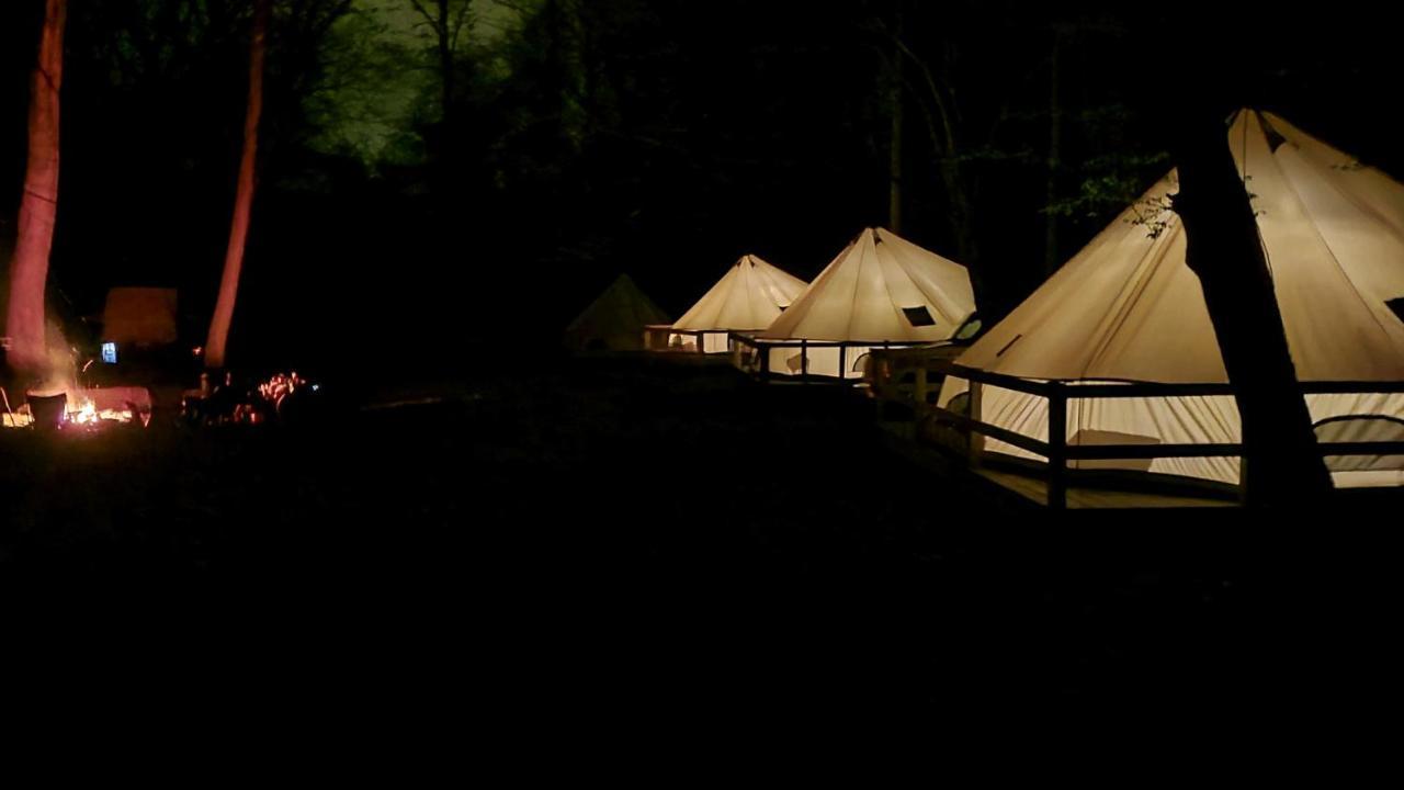 Harmony Tree Resorts Inc Nashville Dış mekan fotoğraf